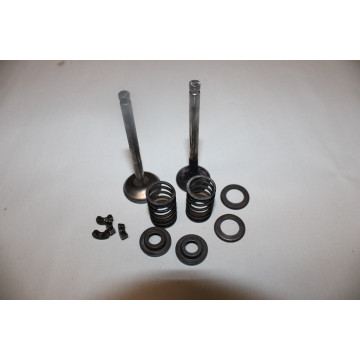 SOUPAPES MOTEUR BERNARD 217