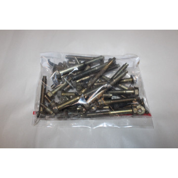VISSERIE MOTEUR BRIGGS &...