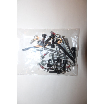 VISSERIE TAILLE HAIE ECHO...