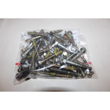 VISSERIE MOTEUR BRIGGS &...