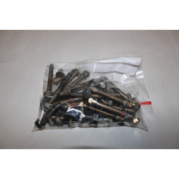 VISSERIES MOTEUR BRIGGS &...