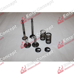 SOUPAPES MOTEUR HONDA G150