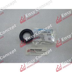 Bague d'Etancheité Iseki...