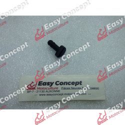 Pion Fixation Capot...