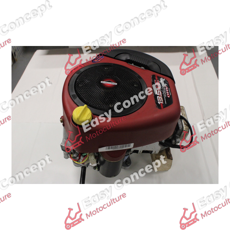 Briggs And Stratton Troubleshooting Gas In Oil: Quick Fix Guide - Foto 3