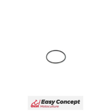 Anneau FR 0 29.1 x 1.6...