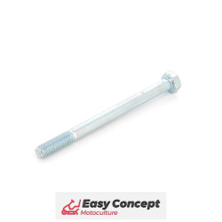 Vis  M8x100 Référence...