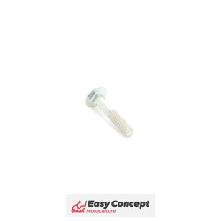 Vis Brill Référence 701672