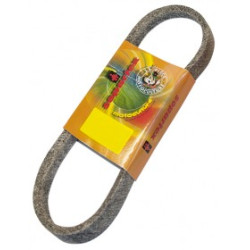 COURROIE RIDER - PIECE...