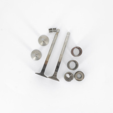 SOUPAPES MOTEUR BRIGGS &...