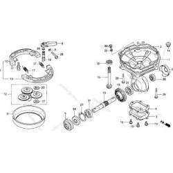 Jeu de Machoires Origine...