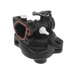 Carburateur Briggs &...