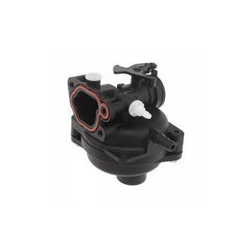 Carburateur Briggs &...