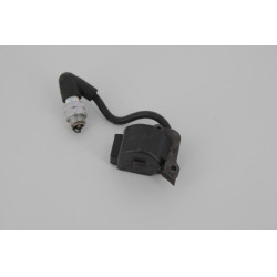 BOBINE ALLUMAGE TAILLE HAIE...