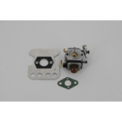 CARBURATEUR TAILLE HAIE...