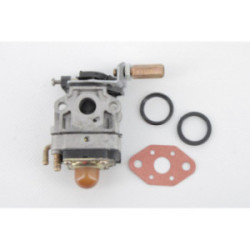 CARBURATEUR...