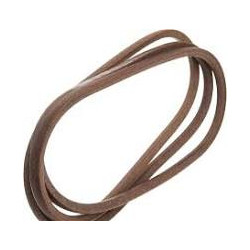 Courroie Coupe d'Origine...