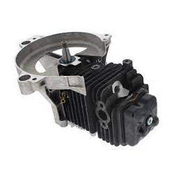 Bloc Moteur Pour FS 131 -...