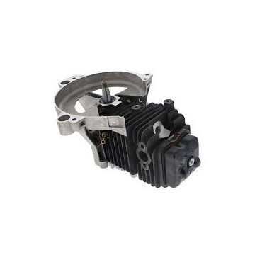 Bloc Moteur Pour FS 131 -...