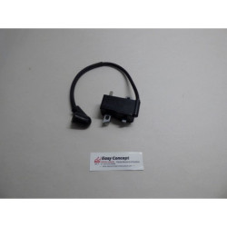 Module d'allumage Module...