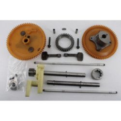 PIGNONS ARBRE A CAMES +...