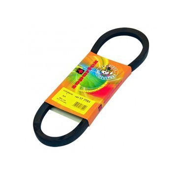 Courroie STEIGENTECH BB101