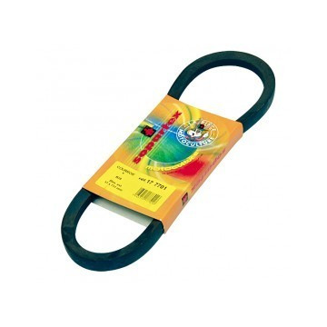 Courroie STEIGENTECH BB106