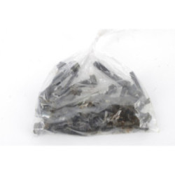 VISSERIE MOTEUR BRIGGS &...