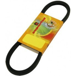 Courroie Turf Drive 4L800K