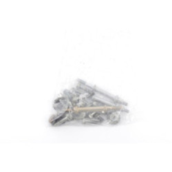 VISSERIE MOTEUR HONDA GCV...