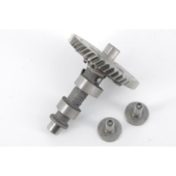 ARBRE A CAMES+POUSSOIRS...