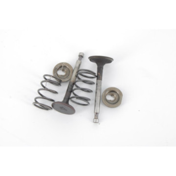 SOUPAPES MOTEUR HONDA GCV...