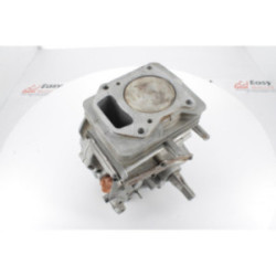 SHORT-BLOC COMPLET MOTEUR BRIGGS & STRATTON INTEK EDGE OHV MODEL 121602