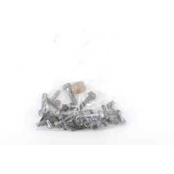 VISSERIE MOTEUR TECUMSEH...