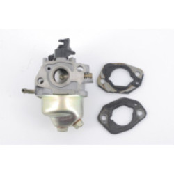 CARBURATEUR COMPLET MOTEUR...