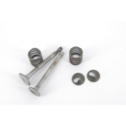 SOUPAPES MOTEUR TECUMSEH...