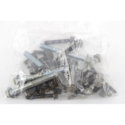 VISSERIE MOTEUR BRIGGS &...