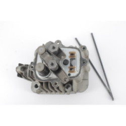 CULASSE + TIGES MOTEUR BRIGGS & STRATTON INTEK EDGE OHV MODEL 121602