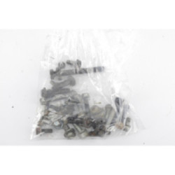 VISSERIE MOTEUR TECUMSEH...