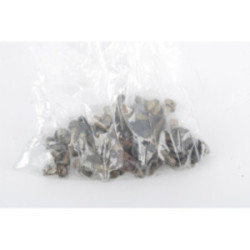 VISSERIE MOTEUR TECUMSEH...