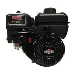 Moteur Complet BRIGGS & STRATTON SERIE 550 (083132-1114-H1)