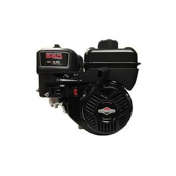 Moteur Complet BRIGGS &...