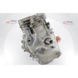 SHORT-BLOC MOTEUR BRIGGS &...