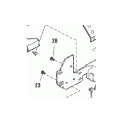 Vis Référence 1924856 Snapper