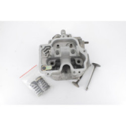 CULASSE NUE + SOUPAPES MOTEUR KOHLER 14 HP