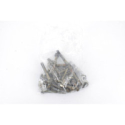 VISSERIE MOTEUR BRIGGS &...