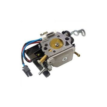 Carburateur Neuf Complet...