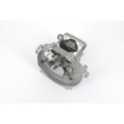BAS-MOTEUR DEBROUSSAILLEUSE KAAZ TL 43 PFD