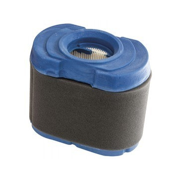 Filtre à air de...