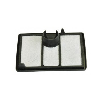 Filtre à air de...